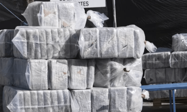 Guiné-Conacri: Apreensão recorde de 600 kg de cocaína a bordo de um navio, suspeitos detidos (Procurador)